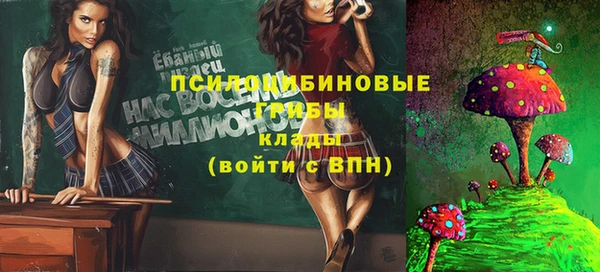 твердый Вязники