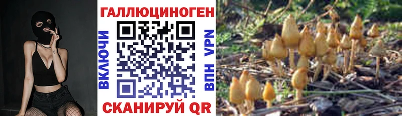 Купить где  Камешково  Галлюциногенные грибы GOLDEN TEACHER 